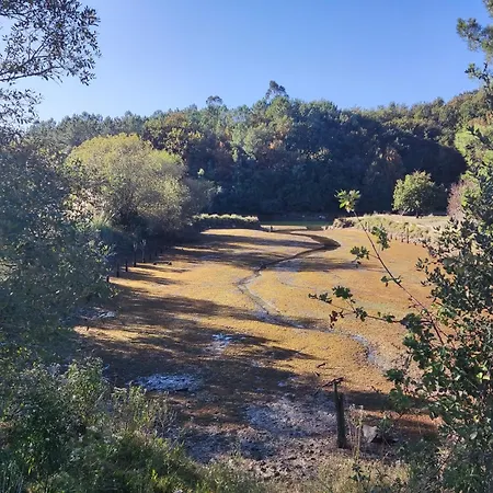 Uribekosta 民宿 Mendiondo